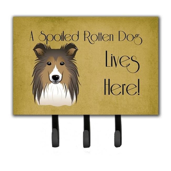 Carolines Treasures Carolines Treasures BB1490TH68 Sheltie Spoiled Dog Lives Here Leash & Key Holder BB1490TH68 - main
